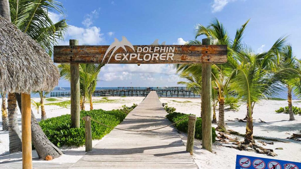 Dominican local food and cultural tour near Punta Cana