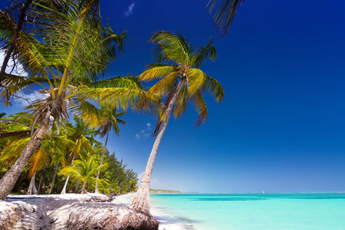Catamaran boat tour to Saona Island from Punta Cana