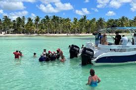 Natural pool stop on Saona Island tour from Punta Cana