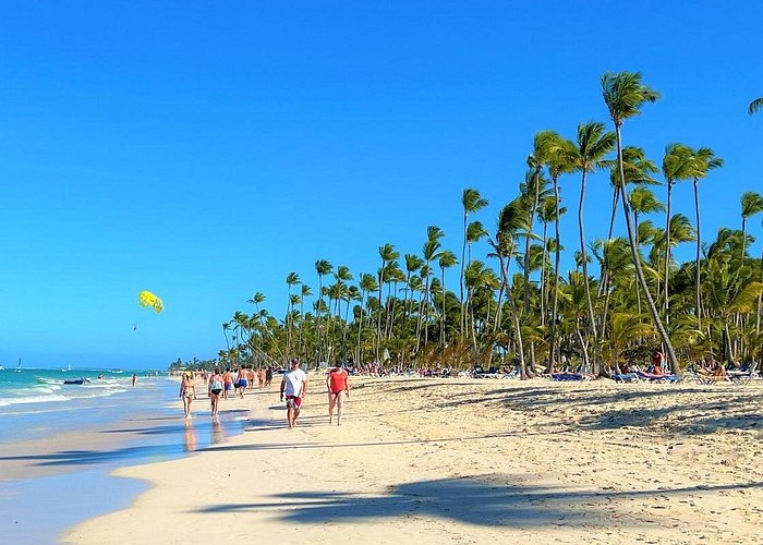 Playa Bavaro Punta Cana beach with white sand turquoise water and palm trees