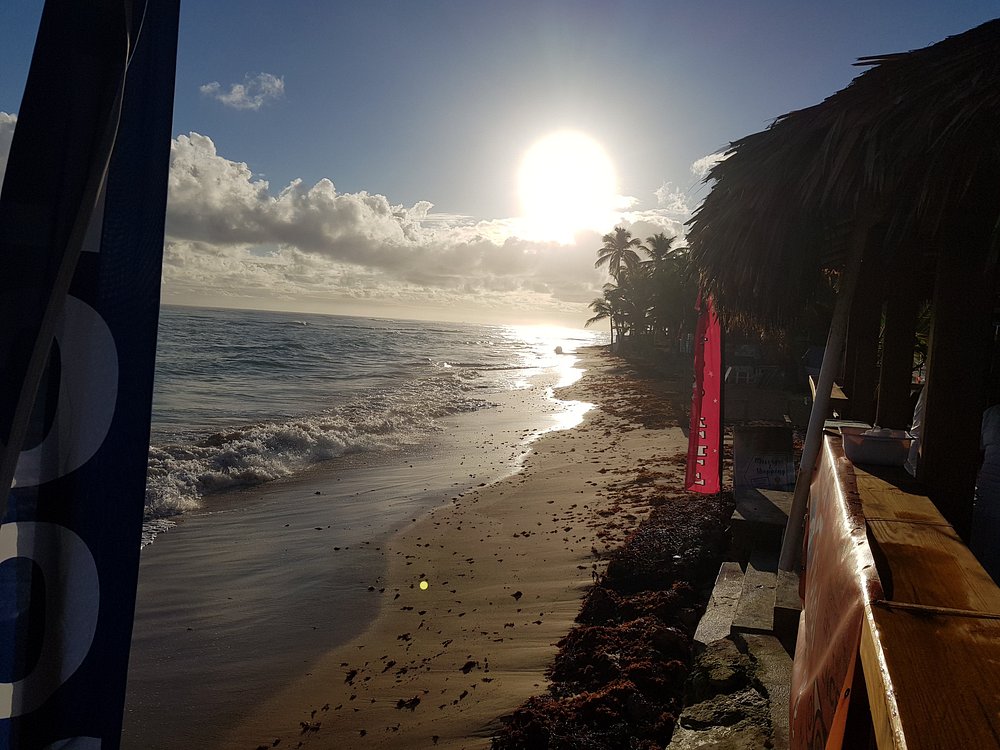 Tropical Treasure Punta Cana visitor guide and hidden gem experience