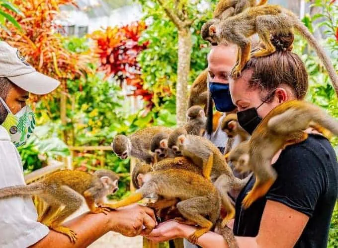 Family-friendly Monkey Land Punta Cana tour with squirrel monkeys